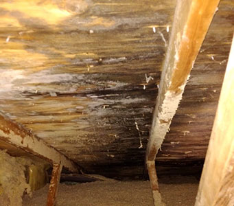 Loft without any insulation full of mold and dust from poor ventilation