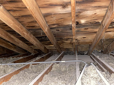 Loft without any insulation full of mold and dust from poor ventilation